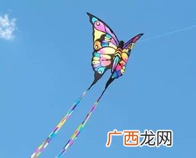 制作风筝的材料是什么,什么材质的风筝质量好？