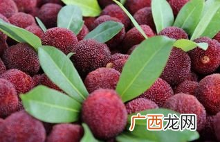 杨梅什么时候上市,21年仙居杨梅多久上市？