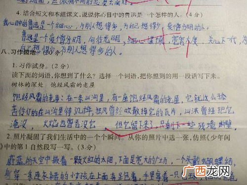 森林用什么词语来形容,哪些动词可以修饰“森林”？