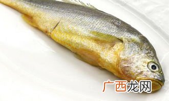海鱼有哪些品种,海水鱼都有哪些啊？