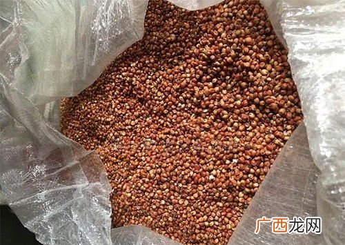 100斤高粱能酿多少酒,100斤高粱酿多少酒？