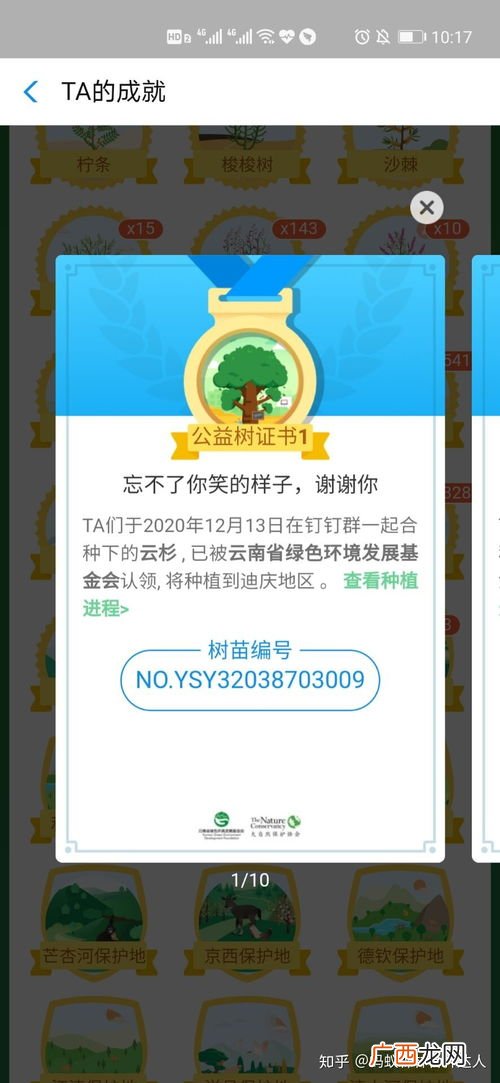 蚂蚁森林合种规则,蚂蚁森林能量产生规则?