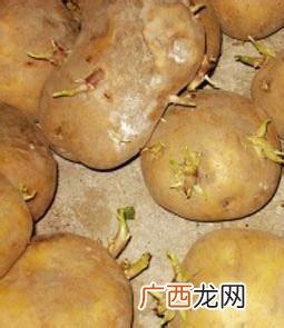 土豆不宜存放在什么地方,土豆放太阳底下晒要注意什么？
