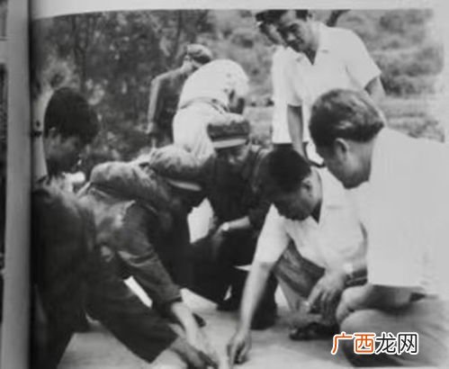 二王是指哪两个人,二王草书是指谁和谁？