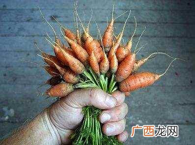 吃胡萝卜对眼睛好吗