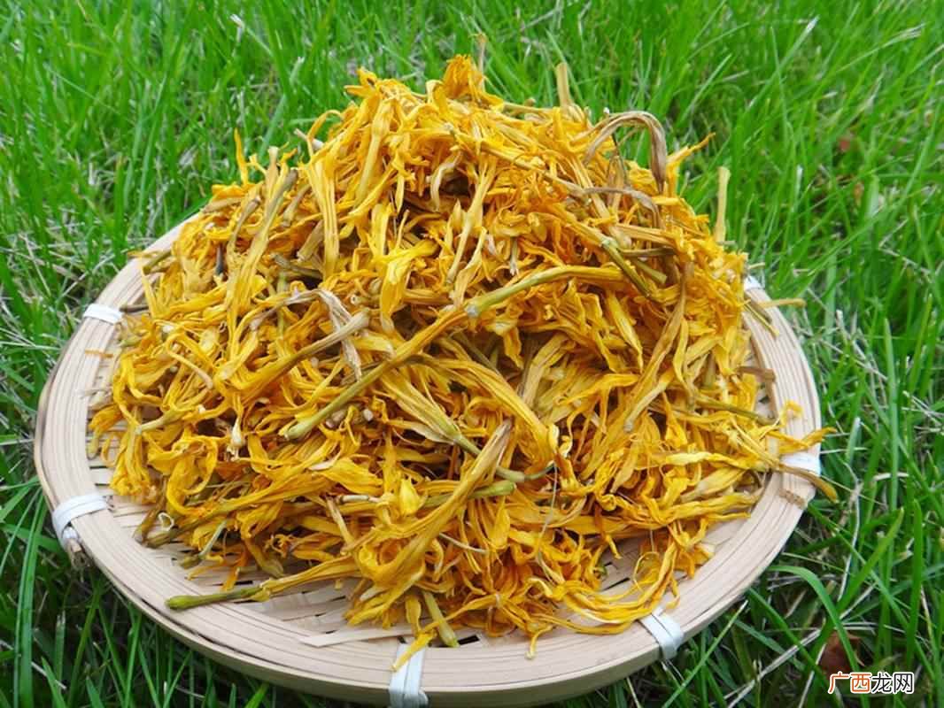 野生黄花菜可以吃吗