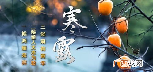 寒露的三候是什么,寒露时动物特点？