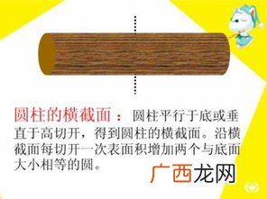横截面是什么意思,横截面边长是什么意思？