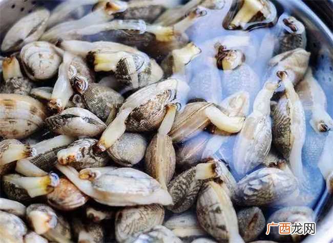 花蛤泡了一晚全部吐舌头还能吃吗 花蛤放了一夜吐舌头能吃吗