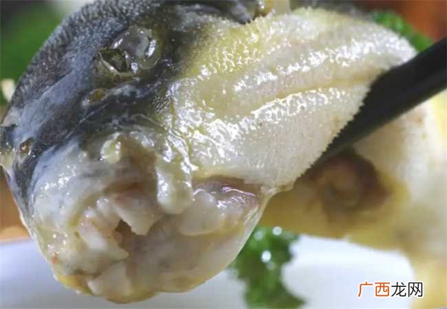 吃河豚后几个小时安全