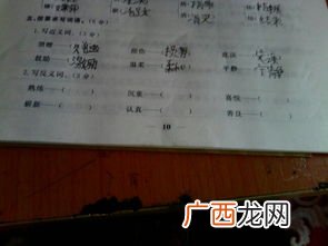 忙的反义词是什么,忙近反义词？