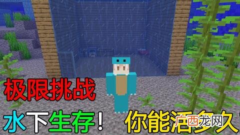 我的世界蓝冰有什么用,我的世界终与始第二关怎么进？