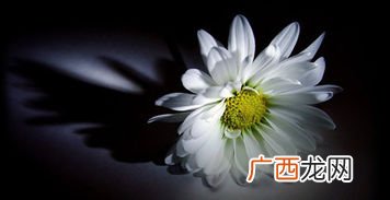 哀思寄语8个字,母亲头七哀思寄语？
