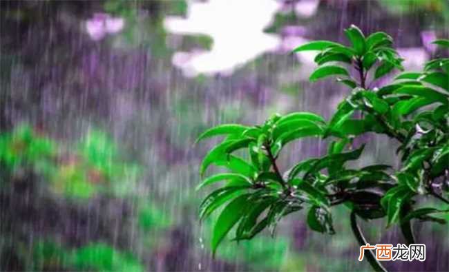 夏至下雨夏天会不会凉快 夏至下雨的话夏天会凉快吗