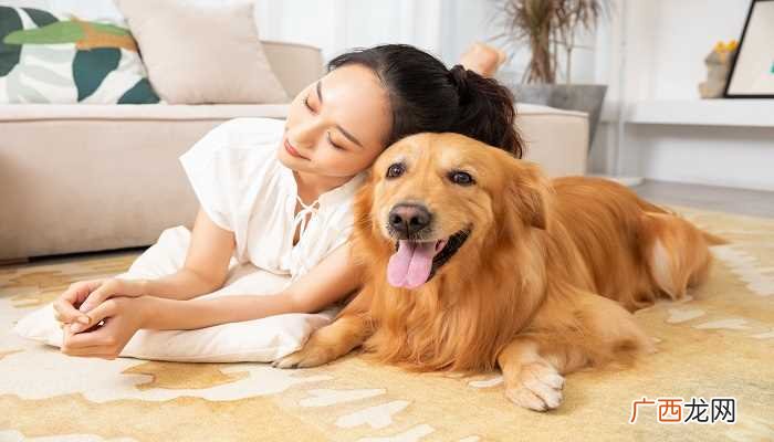 梦见被狗咬了手的相关解释