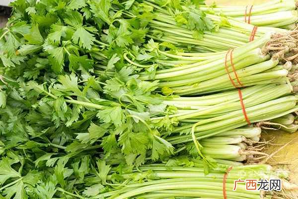 芹菜叶的功效与作用