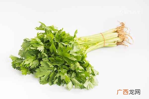芹菜叶的功效与作用
