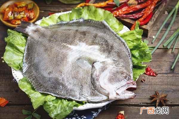 多宝鱼的营养价值及功效