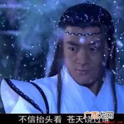 不信抬头看苍天饶过谁的前一句话是 苍天饶过谁的前一句是啥？