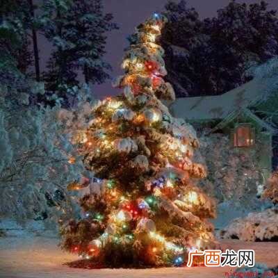 01而你是我的意外惊喜 圣诞是冬的来信下一句是什么？