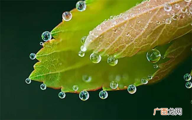 2022年酷暑过后会有露水吗 2022处暑过后有露水吗