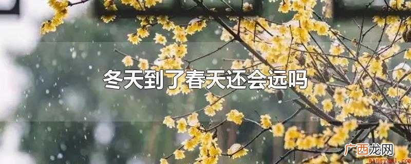 冬天到了,春天还会远吗 冬天到了春天还会远吗
