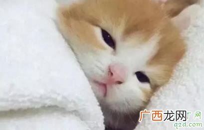 饭圈常用的KY是什么梗 KY这词最早来哪