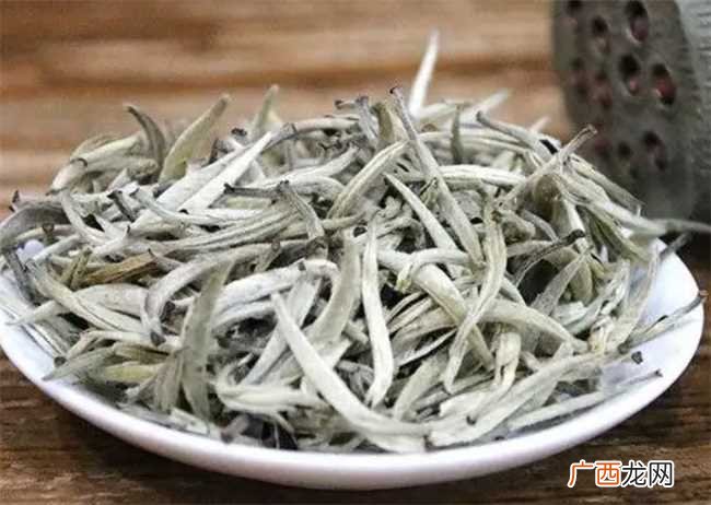 白毫银针属于绿茶吗