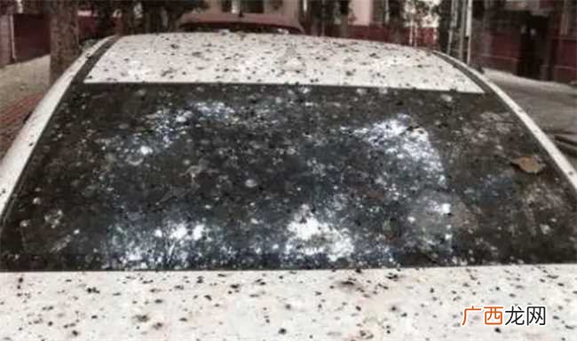 车停树下树胶不洗会伤害车漆吗