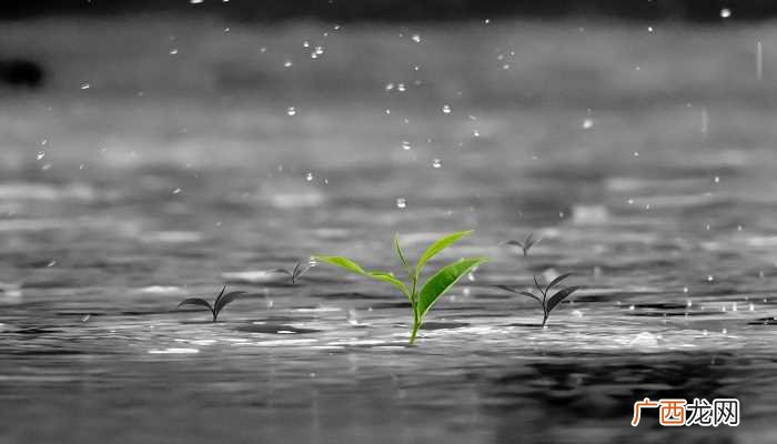 不同人梦见下雨涨水的梦境解析 梦见下大雨涨水是什么征兆