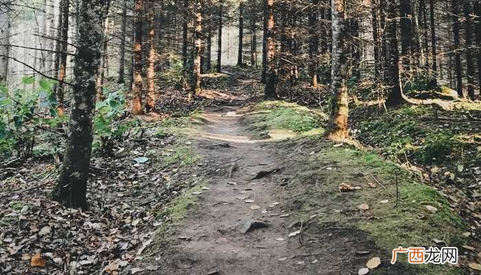 梦到在泥泞的路上走