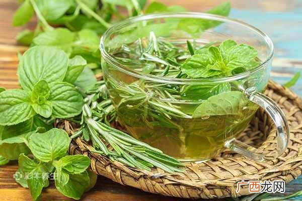 薄荷怎么吃薄荷的食用方法
