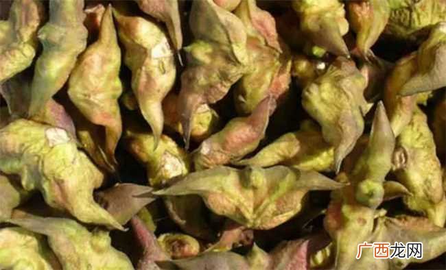 为何菱角不能和蜂蜜一起吃 菱角为什么不能和蜂蜜一起吃