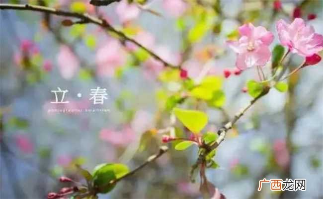 2023年是不是双春年 2023年双春年好不好