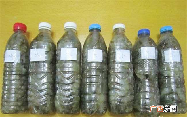 活虾可以放矿泉水瓶保存吗
