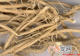 二前汤和杏桃宁两个方有什么区别 怎么让孩子咳嗽好得快