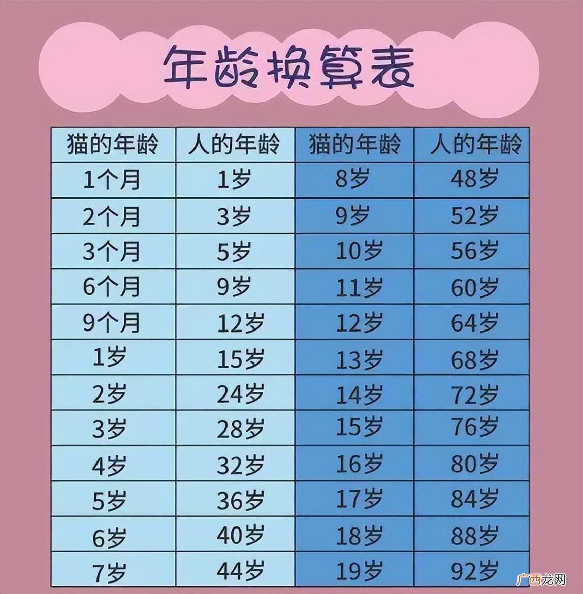 猫的寿命最长能活多少年 猫的一岁是人的多少岁