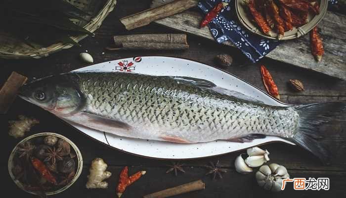 孕妇梦见黑鱼