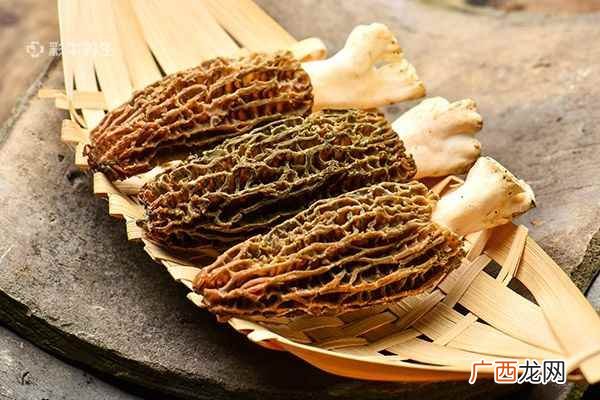 羊肚菌的功效与吃法