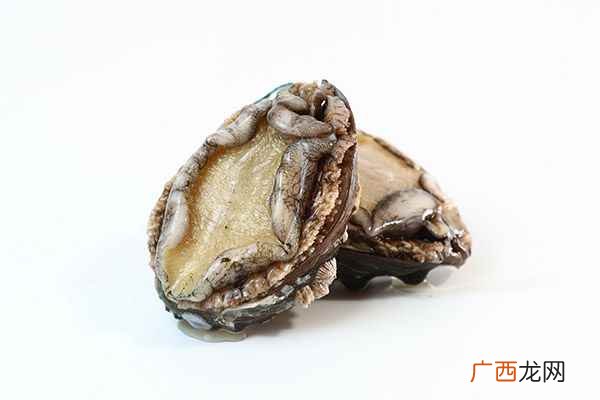 鲍鱼的做法及清洗是怎样的