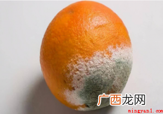 坏掉的水果能切掉吃吗 经常吃霉变水果真的会致癌吗 经常吃霉变水果真的会致癌吗