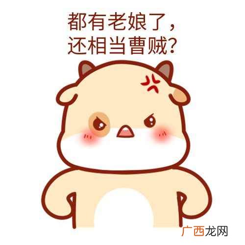 曹贼是什么梗意思 曹贼是什么梗