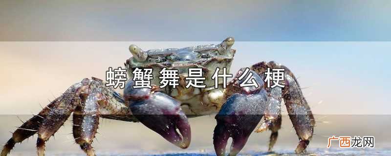 韩国明星Lisa螃蟹舞有什么含义 螃蟹舞是什么梗是什么梗
