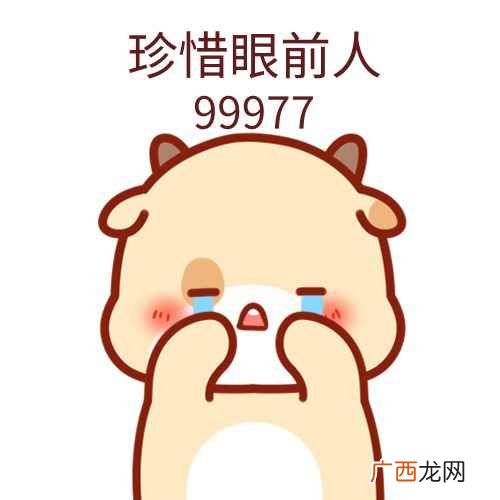99977什么意思 99977是什么梗