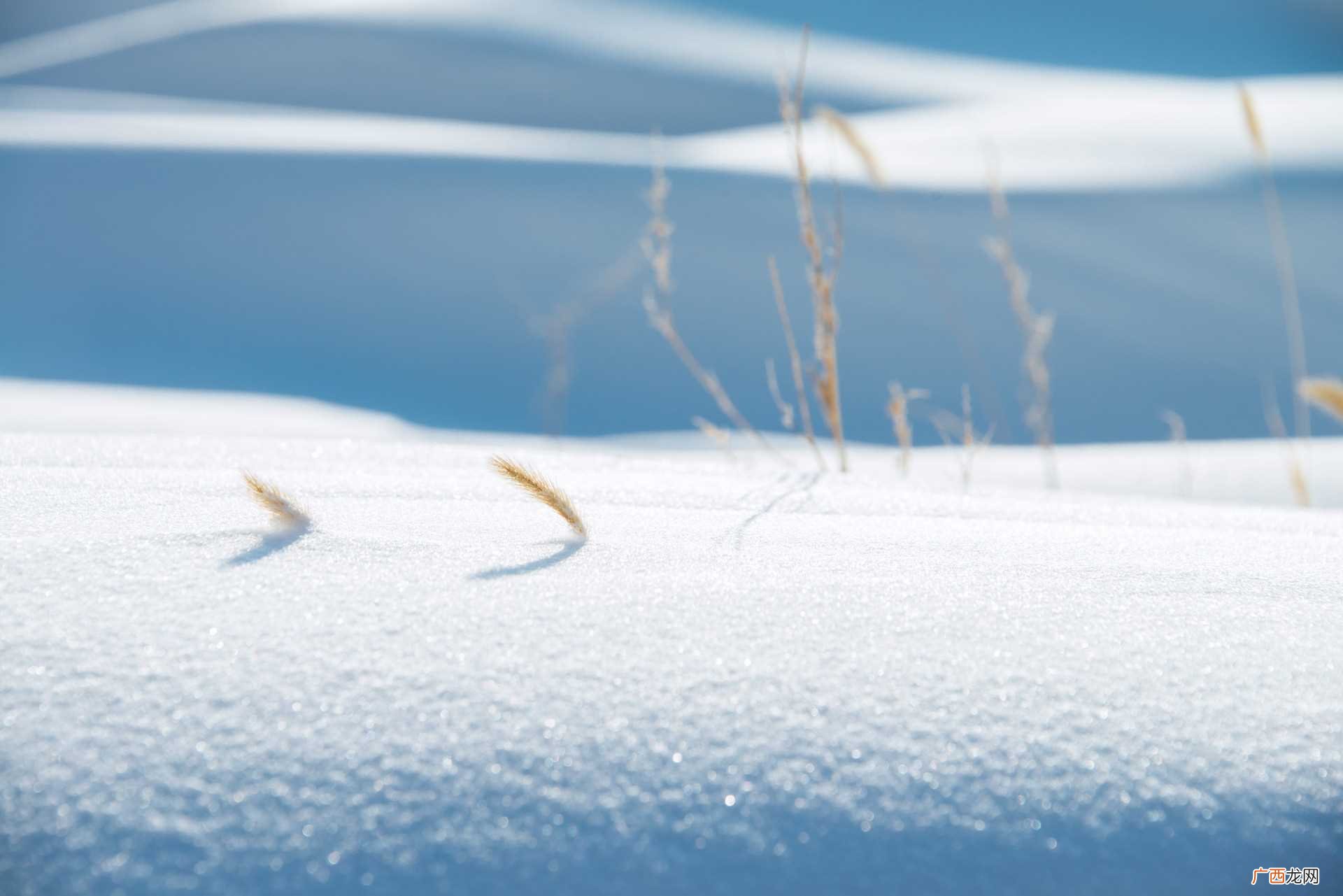 做梦梦到雪是什么意思