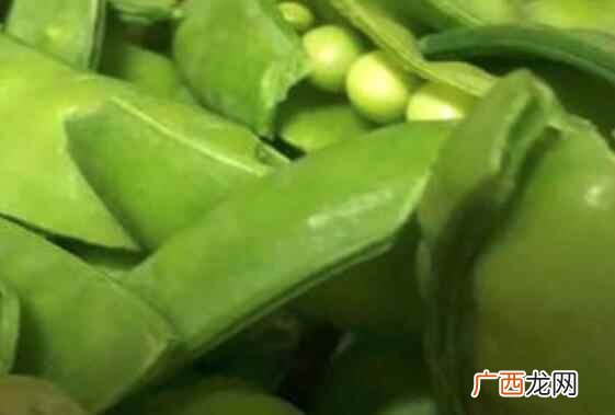 吃荷兰豆的有关注意事项 吃荷兰豆的注意事项