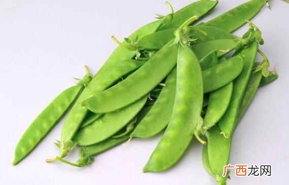 荷兰豆是什么 荷兰豆的营养价值