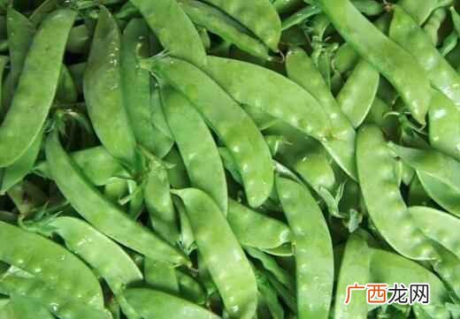 荷兰豆是属于寒性的还是热性 荷兰豆是寒性还是热性的