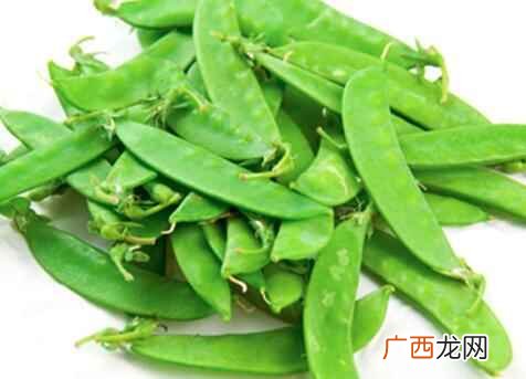 没有吃过荷兰豆的朋友可以尝一尝它的味道 荷兰豆是发物吗