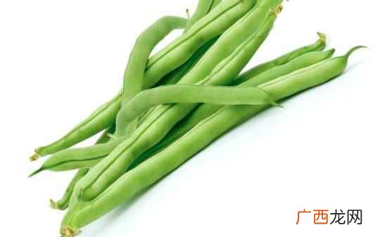 四季豆是什么